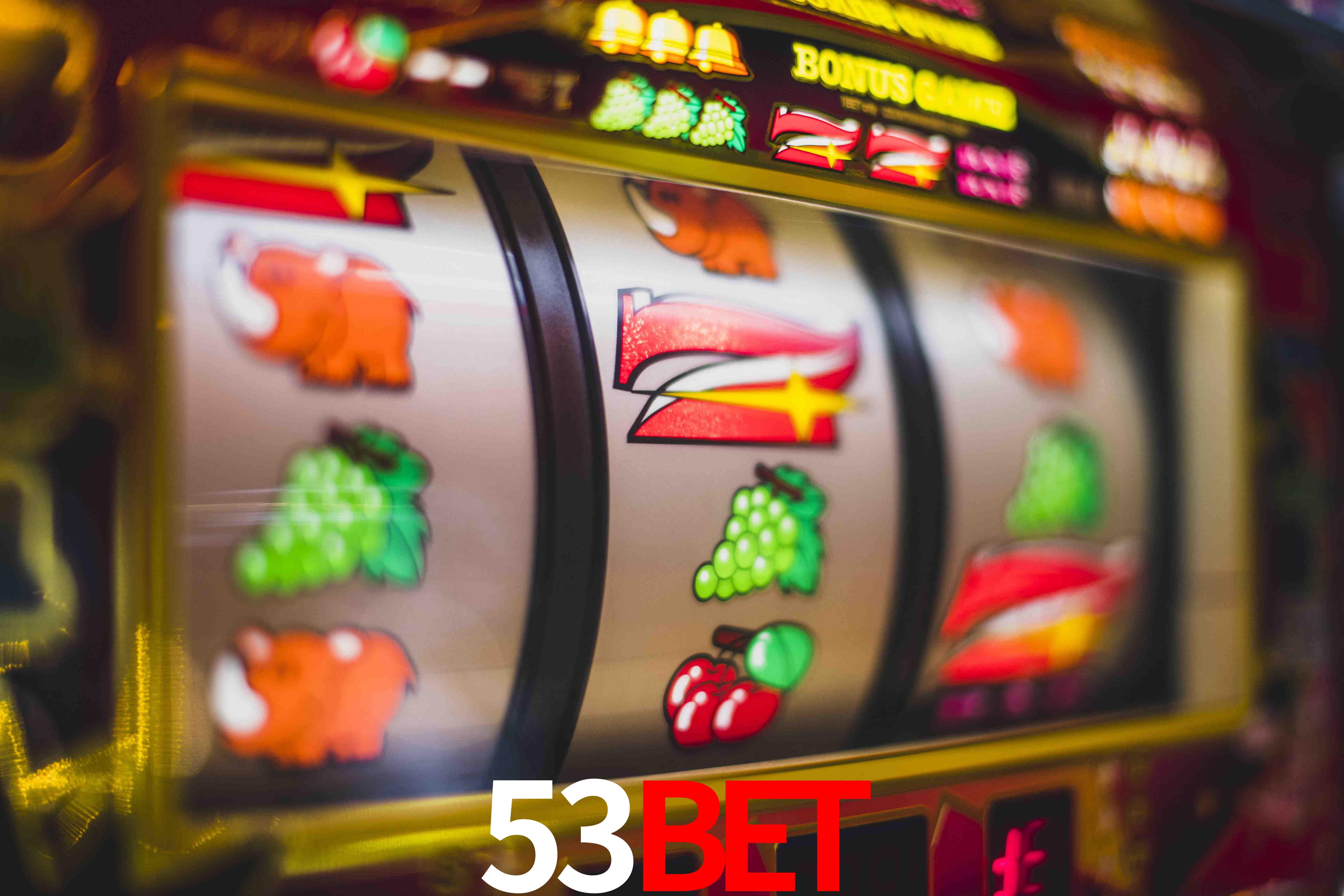Basketball Betting 53bet